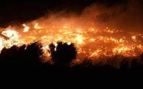 forest fire spreads burns several houses